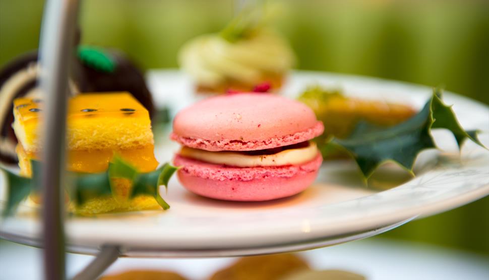 Christmas Drinks & Nibbles at Chewton Glen Visit Hampshire