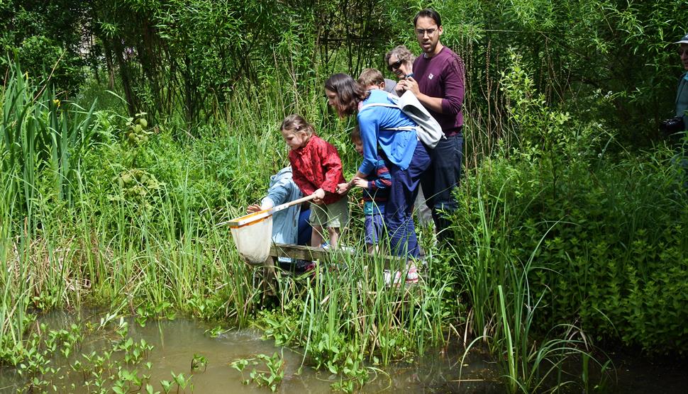 Pond Dipping Visit Hampshire