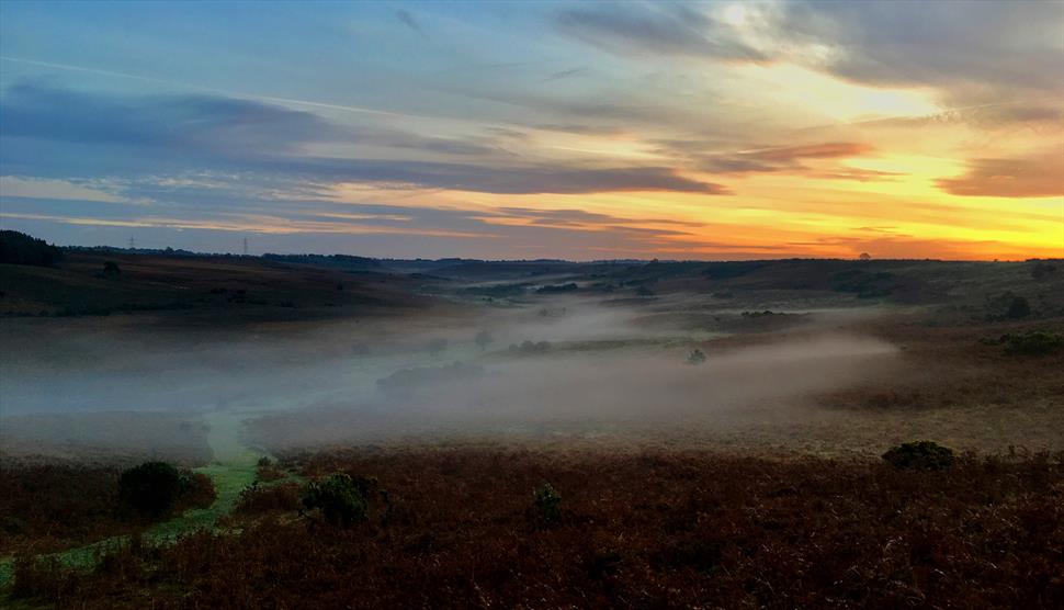 Fordingbridge Godshill Walk Visit Hampshire