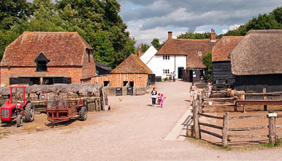The Big Pig Weekend At Manor Farm Visit Hampshire