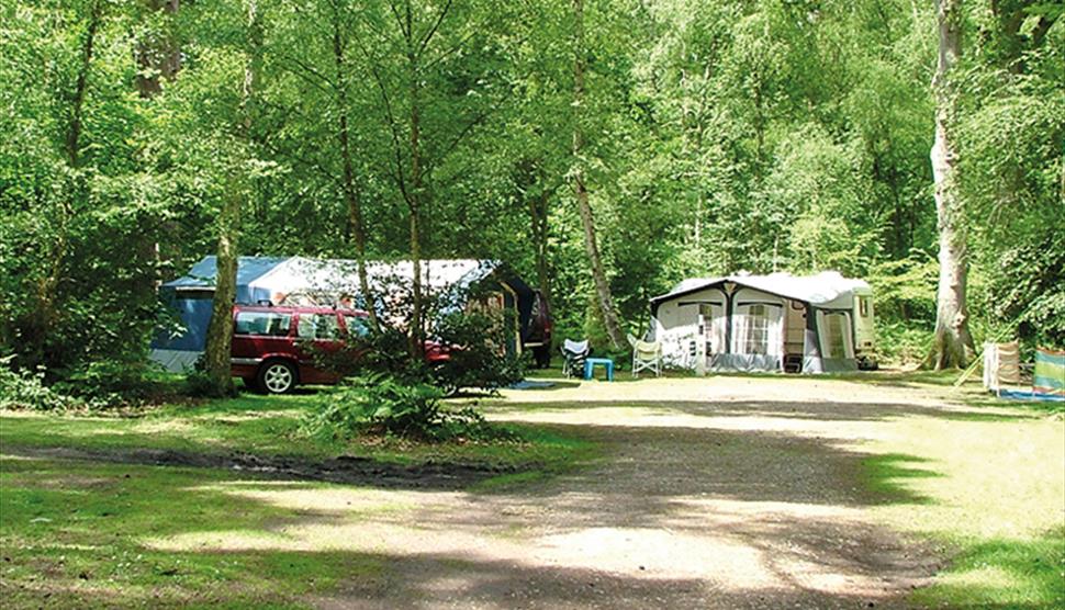 Wellington Country Park Caravan & Campsite Riseley Visit Hampshire