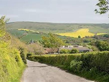 Cycle around Rowlands Castle & Petersfield
