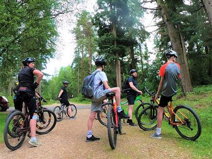 New Forest Cycling Tours