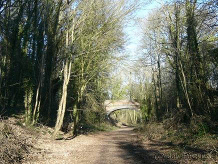 Cycle the Meon Valley Trail