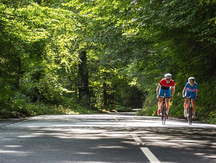 New Forest Road Loop Cycling Route