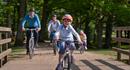 Brockenhurst to Rhinefield Arboretum Cycle Route