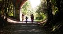 Hayling Billy Cycle Trail