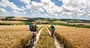 Cycle the South Downs Way