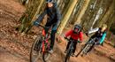 Mountain Biking at Queen Elizabeth Country Park