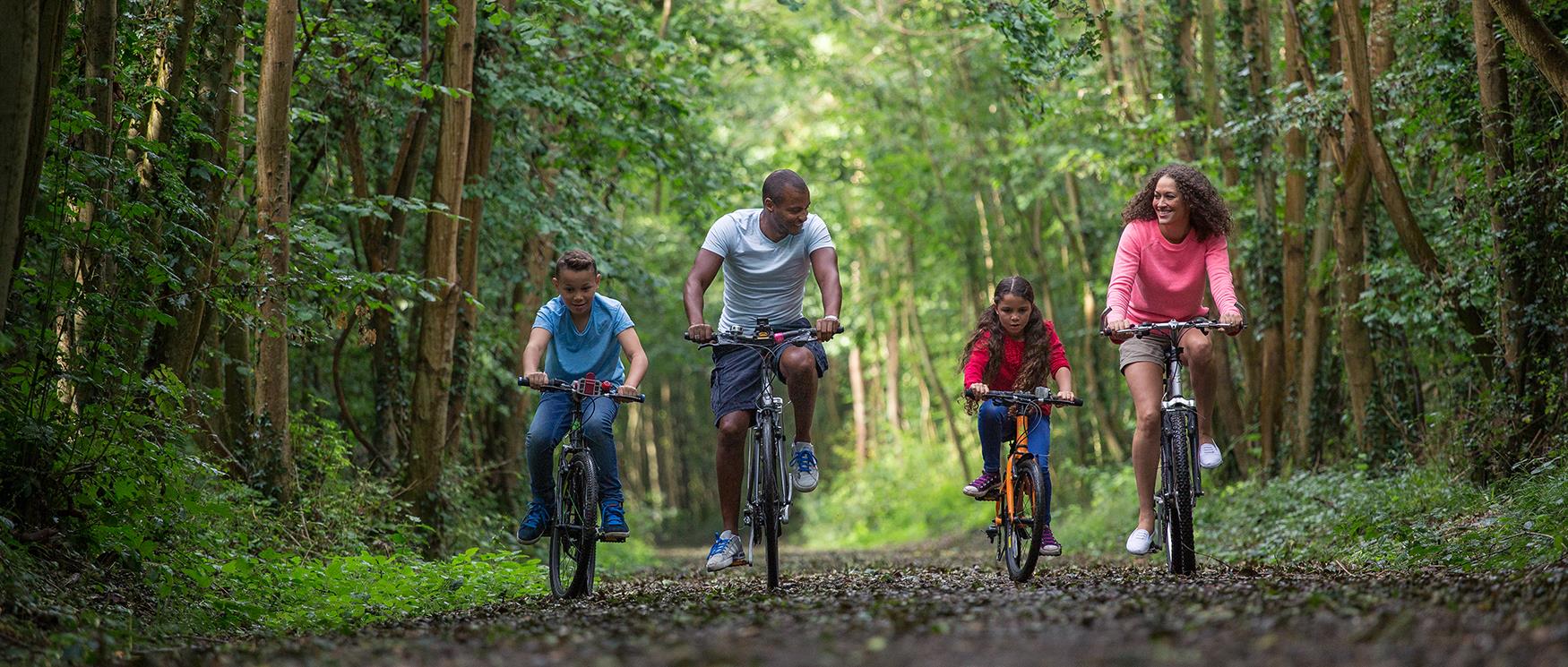 Family Cycle Routes in Hampshire