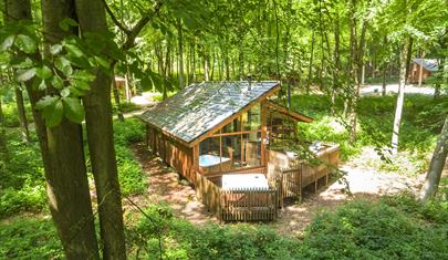 Blackwood Forest Cabin near Winchester, Hampshire