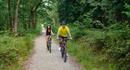 Burley to Bolderwood Deer Sanctuary Cycling Route