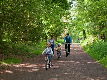 Holmsley to Brockenhurst Off-Road Cycle Route