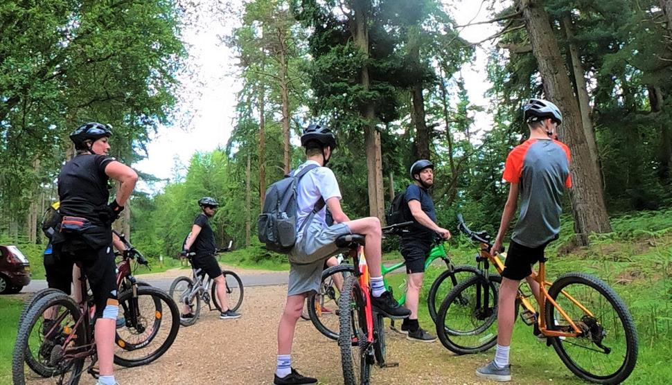 New Forest Cycling Tours