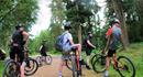 New Forest Cycling Tours