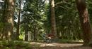 Gravel Cycle Trail Circular Route from Brockenhurst, New Forest
