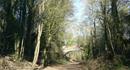 Cycle the Meon Valley Trail