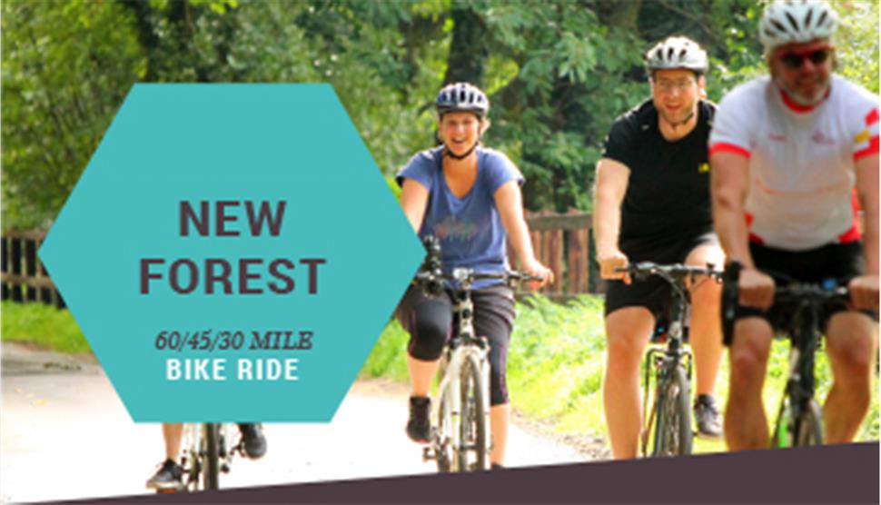 New Forest Bike Ride