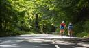 New Forest Road Loop Cycling Route