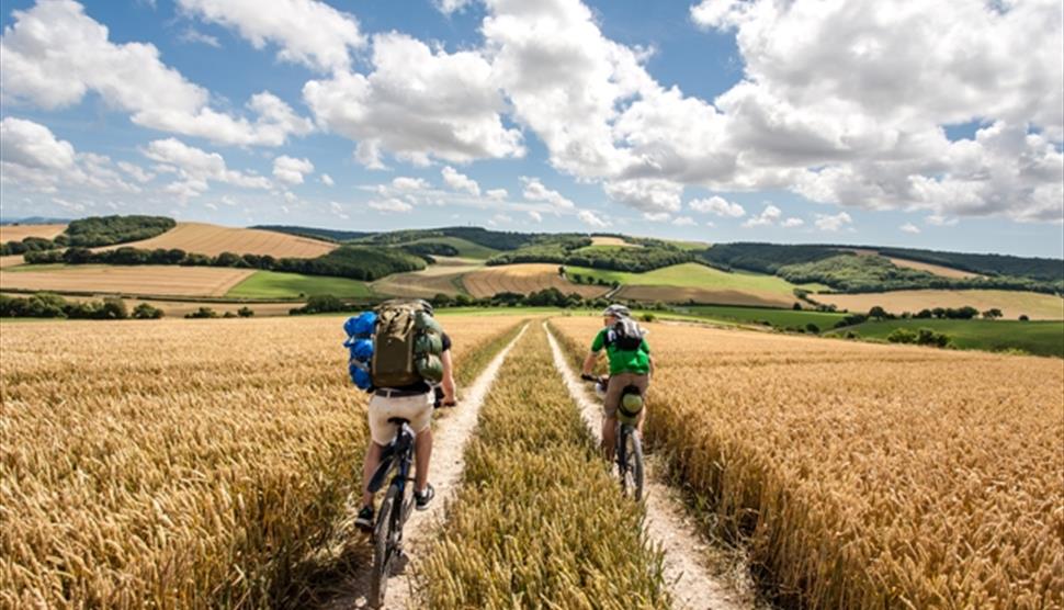 Cycle the South Downs Way