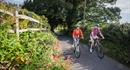 Hilly Circular Cycle Route from Winchester
