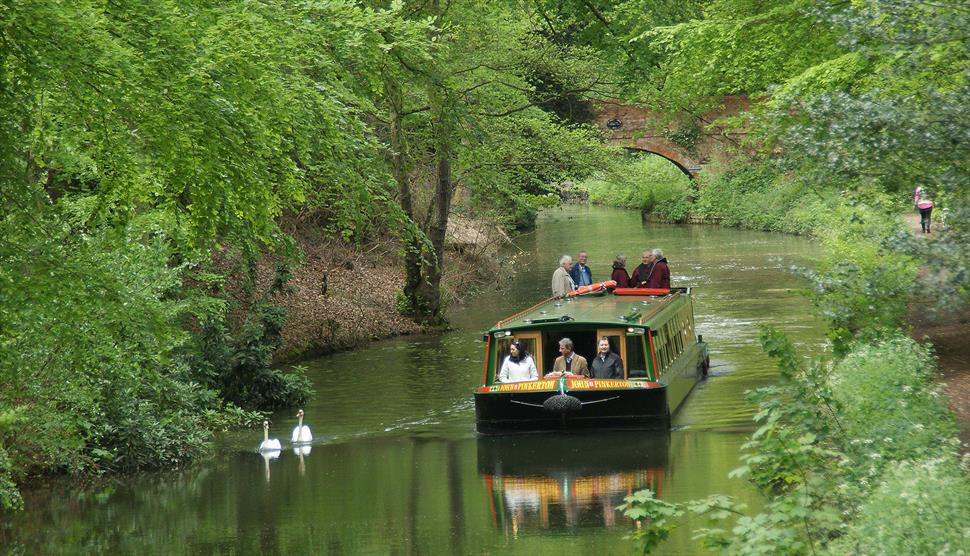 basingstoke canal boat trips mytchett